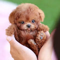 Zavinoxâ„¢- My Realistic Robot Puppy