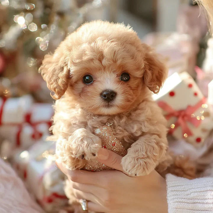 Zavinoxâ„¢- My Realistic Robot Puppy